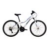 BIC INDIE 24 Alloy – 2020