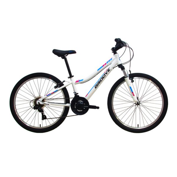 BIC INDIE 24 Alloy – 2020