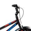 BIC-RAGGA16—Selo-Inmetro4